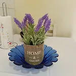 Apartment Center