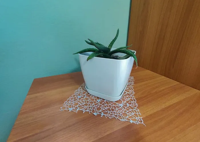 Center Lägenhet Tirana