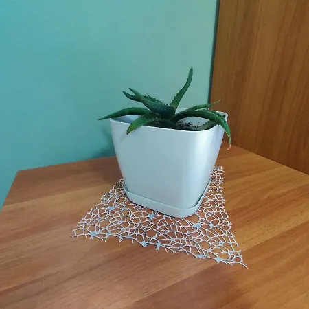 Center 아파트 티라나