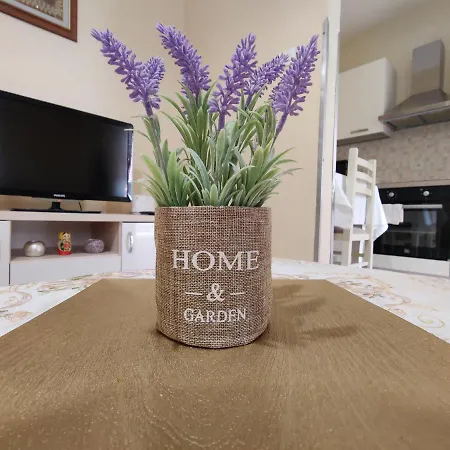 Апартаменты Center Тирана