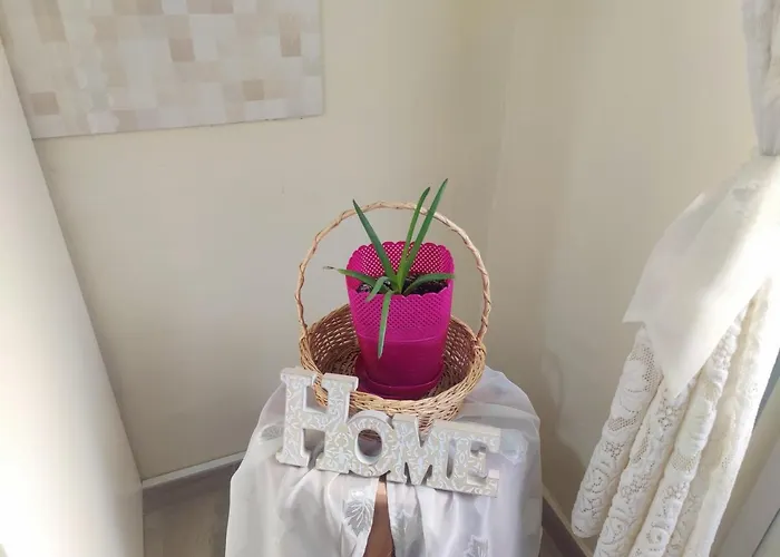 Center * تيرانا